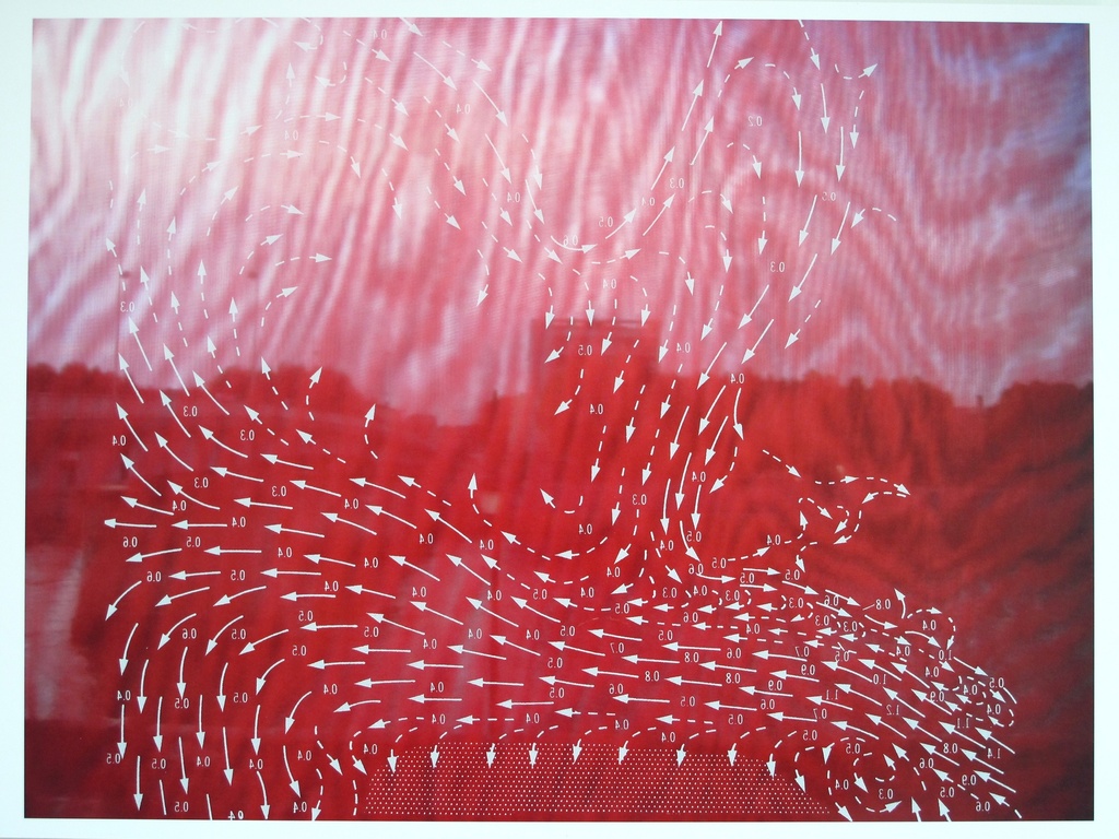zonder titel (roos met pijltjes)