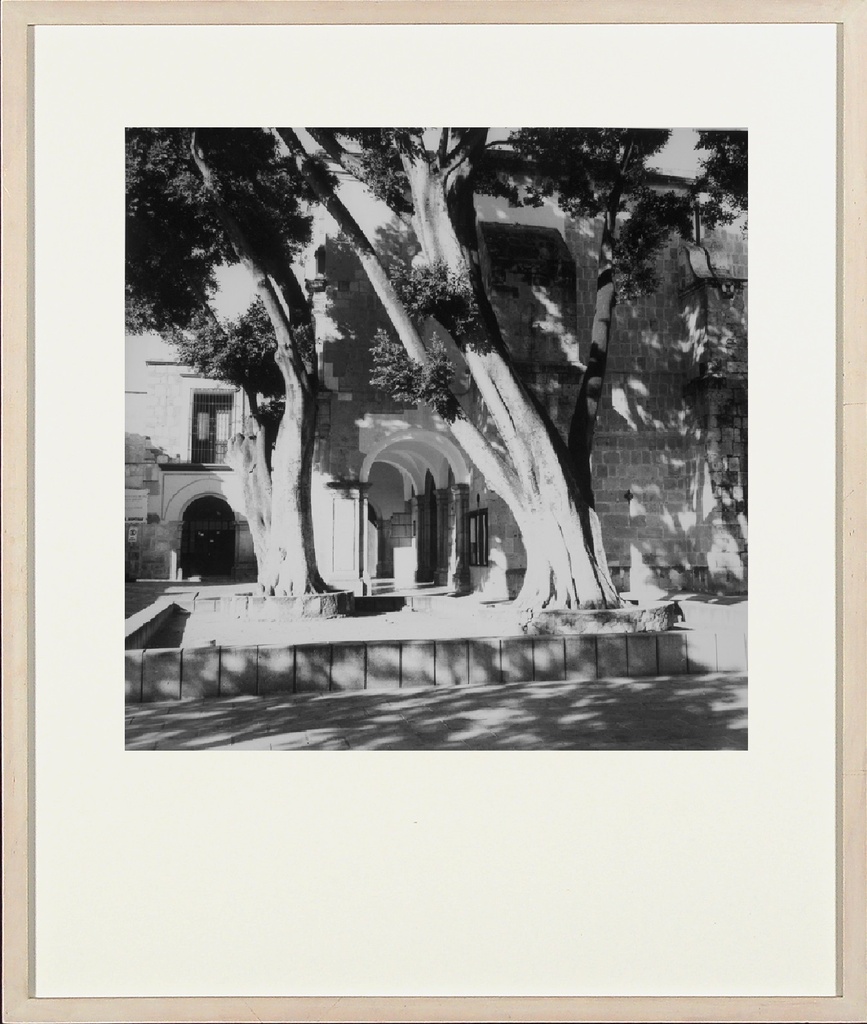 Mexico I