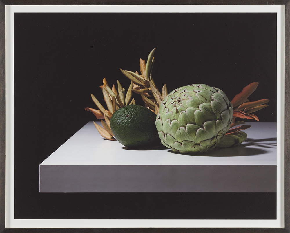 Cynara ahuacatl scolymus (Nightshade series)