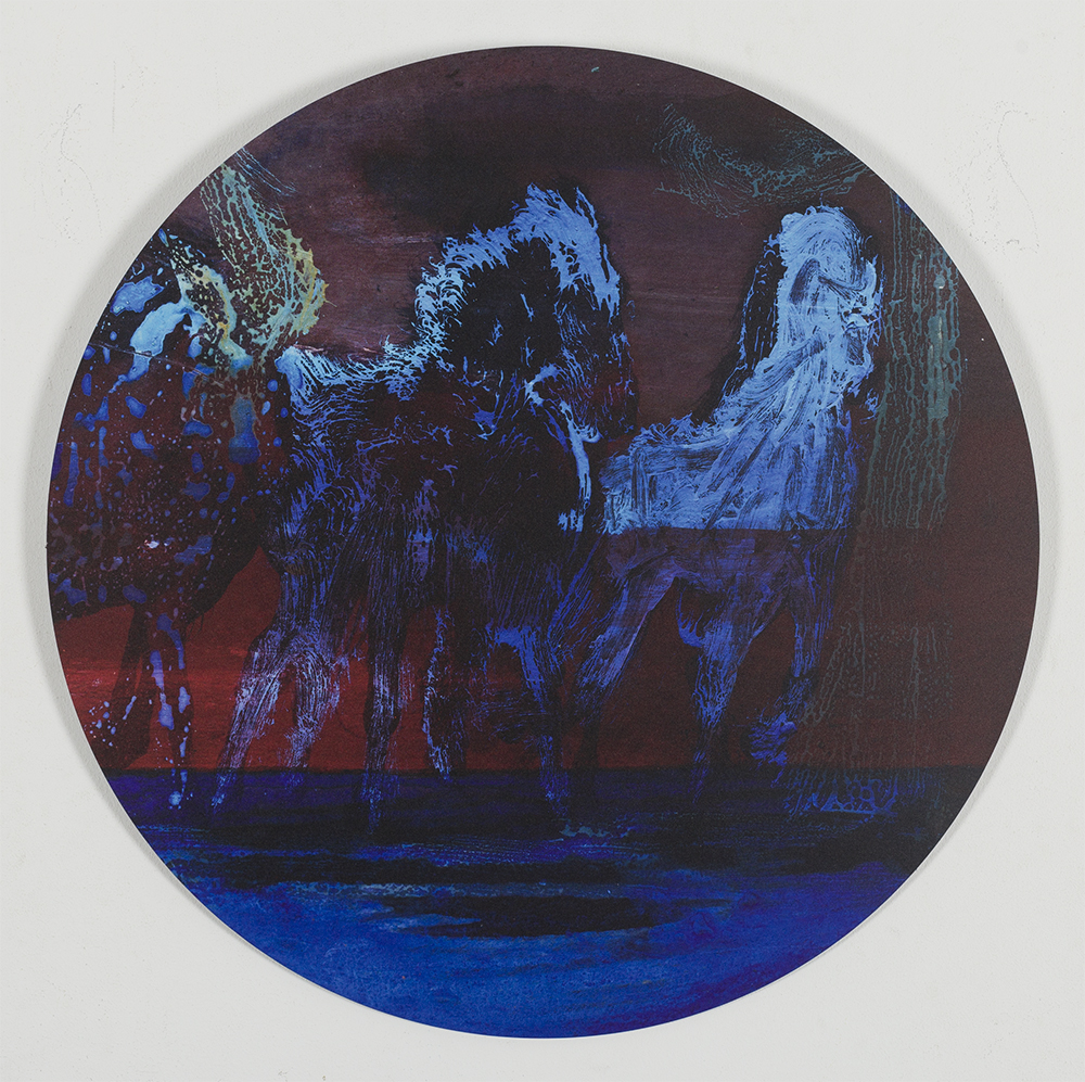 Horses in color