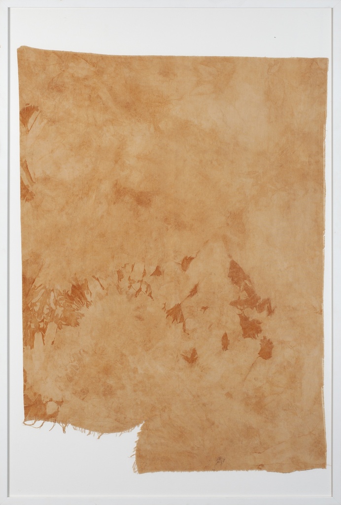 Transfiguration