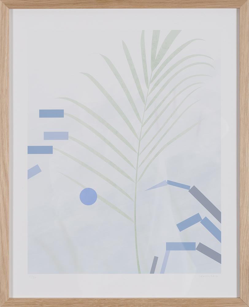 P001 (kamerplant)