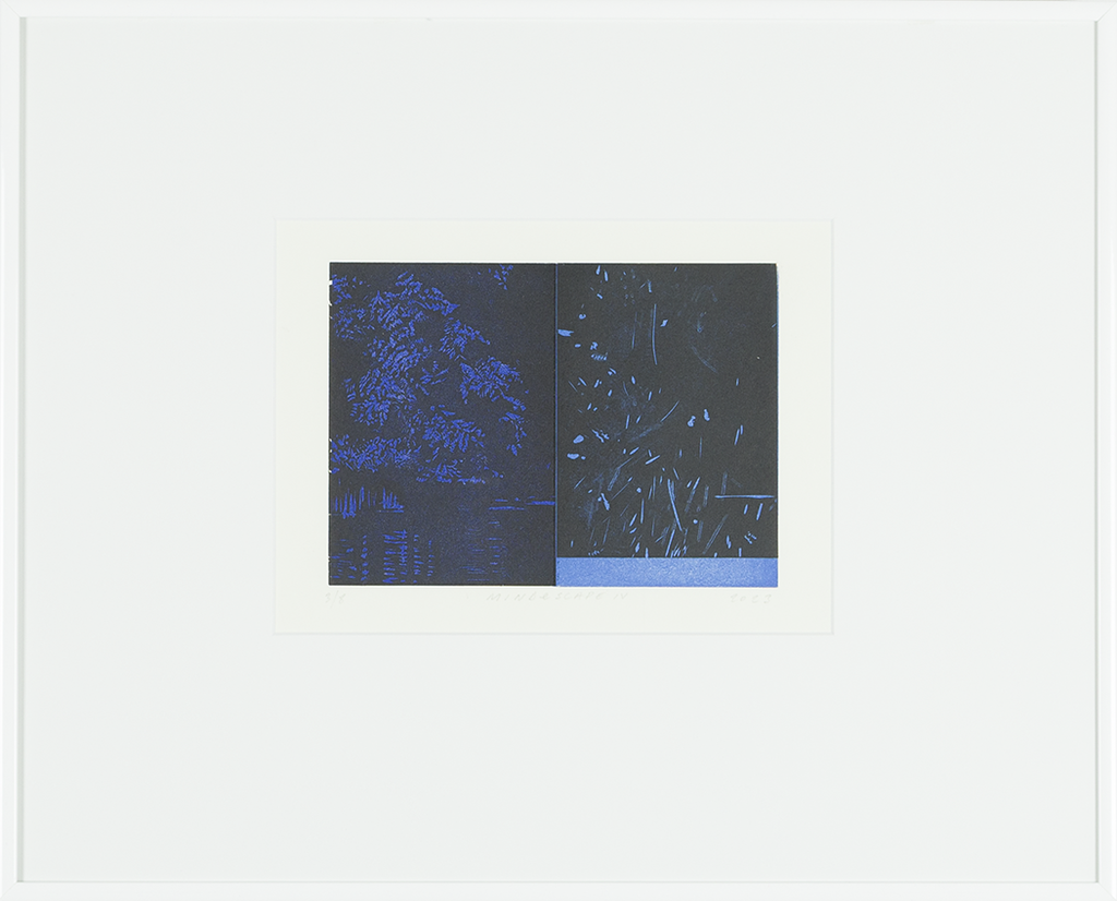 MINDeSCAPE IV