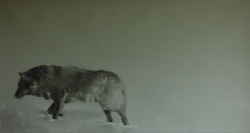 Lone wolf