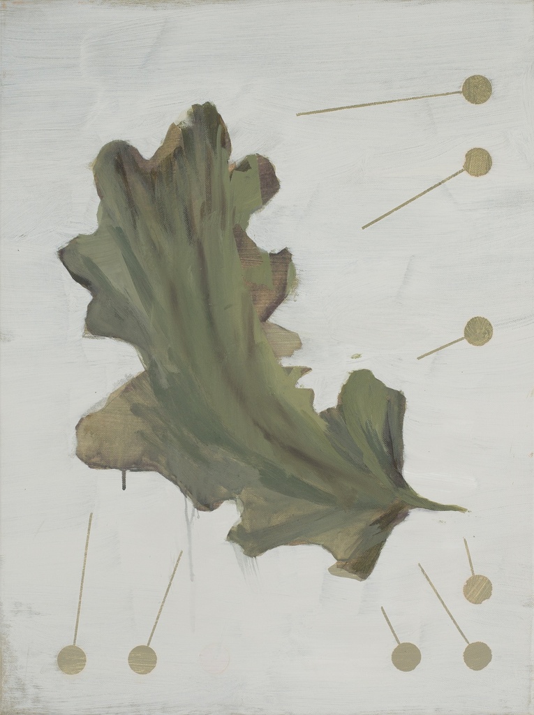 Scarlet oak