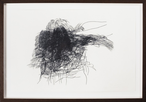 [09940063] Untitled (T.lente 2011)