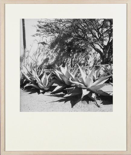 [10070105] Mexico V