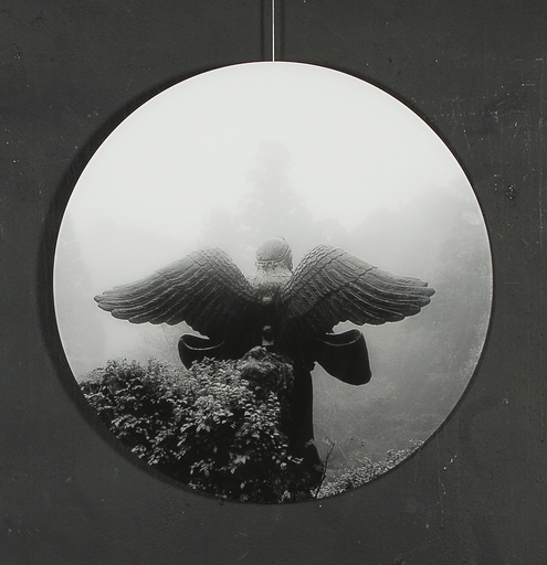 [12430002] Birdman
