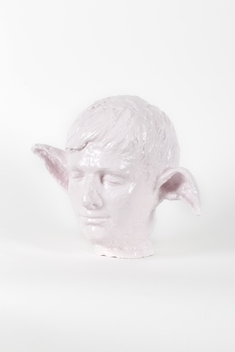[12740013] Pink with ears