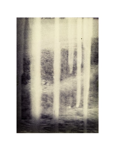 [13760021] "TRR6"